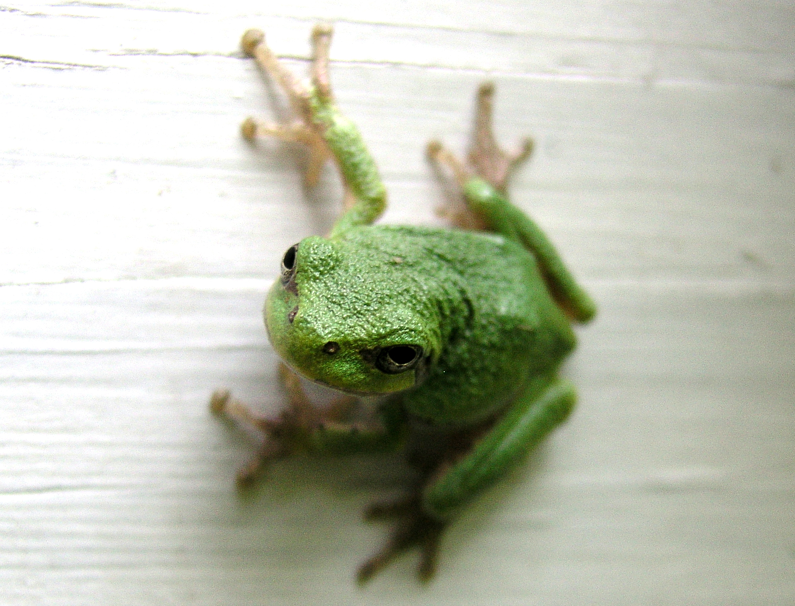  One of life’s dilemmas…