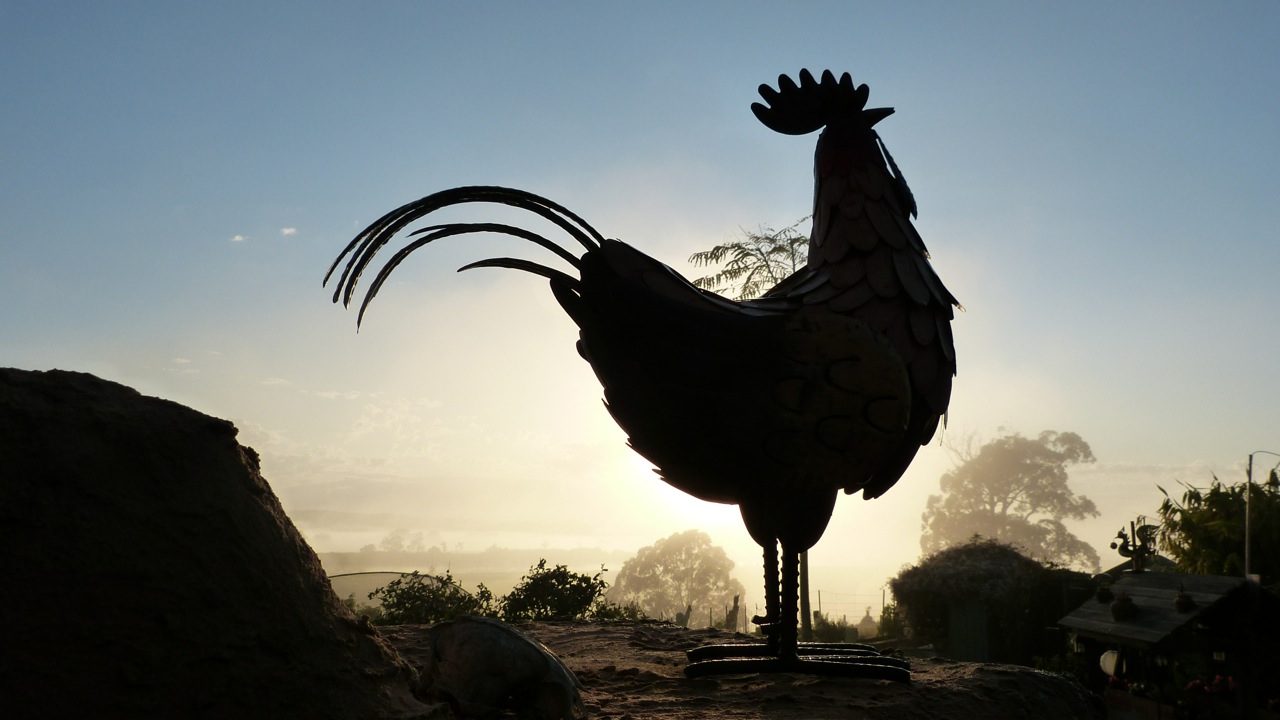  Wake up call – planning to burn