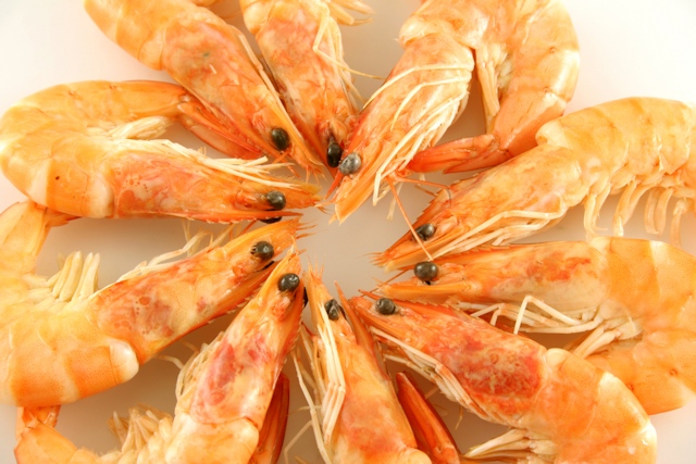  Say NO to dodgy prawns!