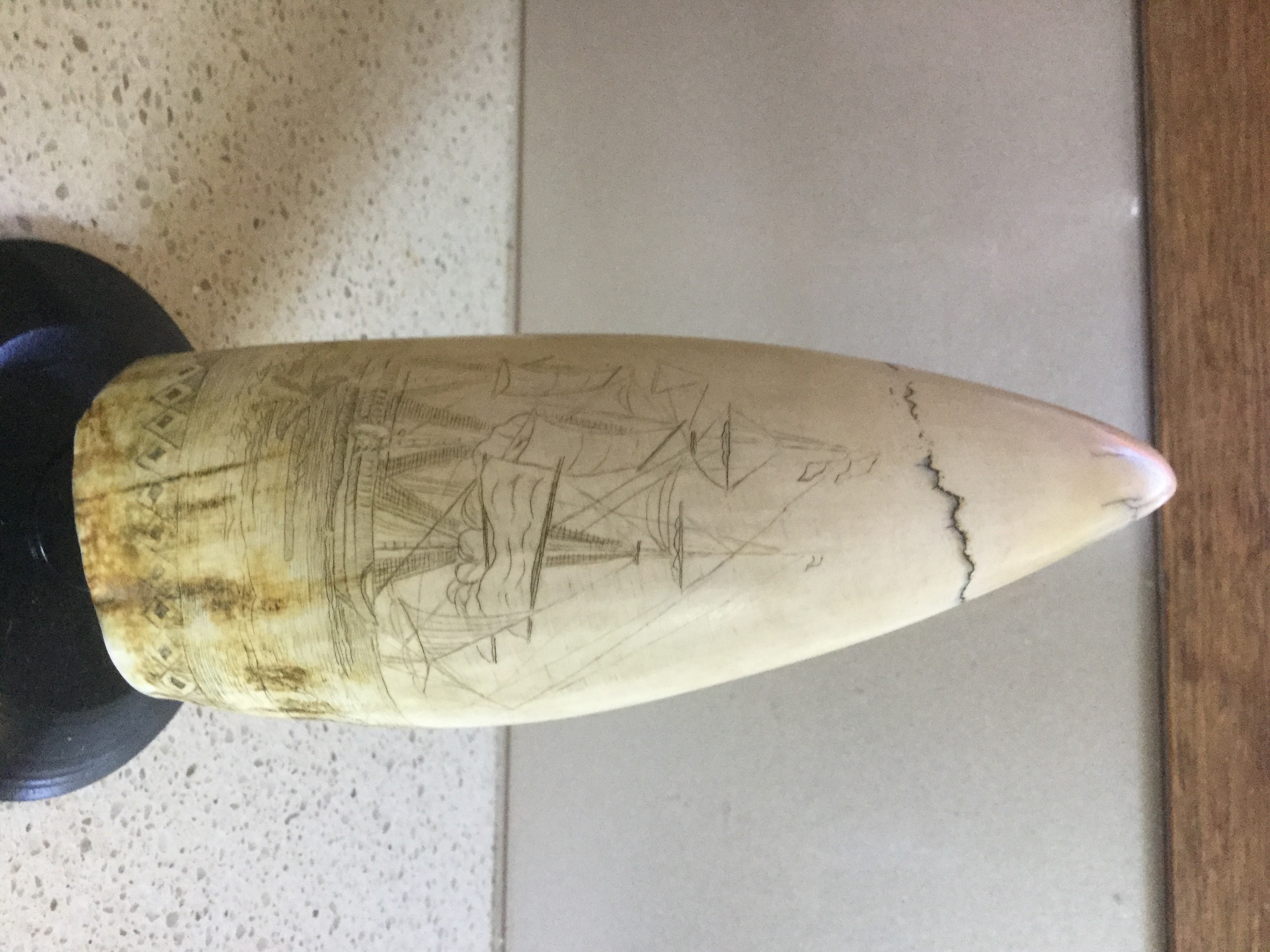  Collect the Past to Invest for Your Future