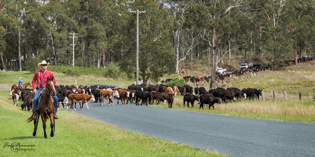  A Drive through History