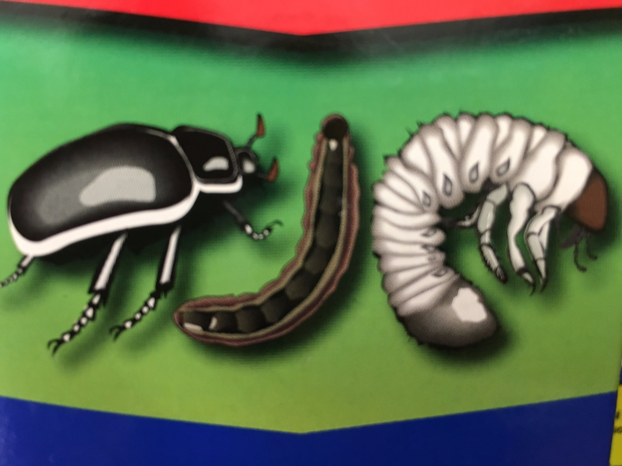  Autumn – A Great Time to be in the Garden