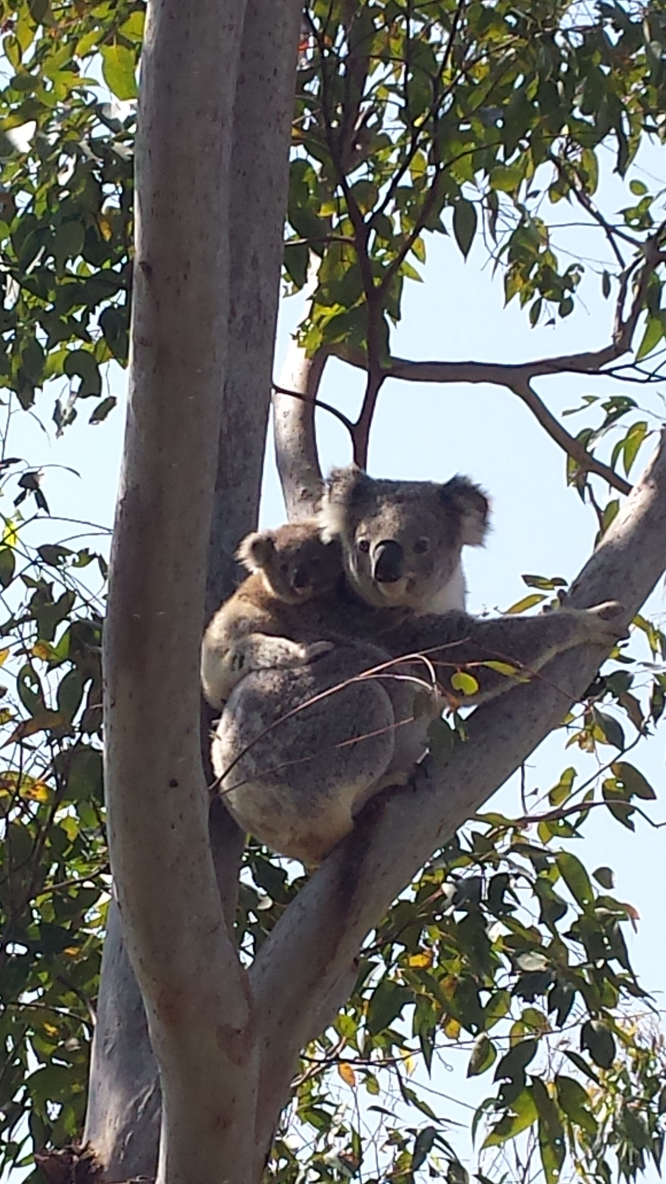  FROM THIS…. TO THIS…