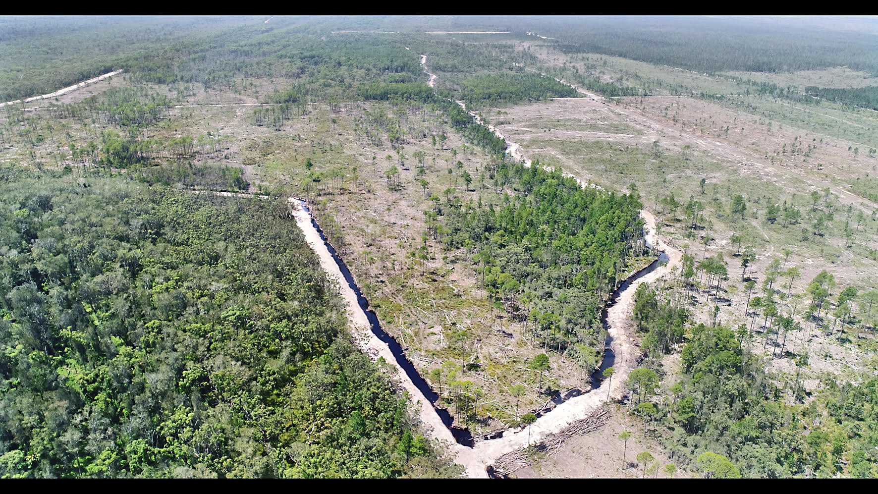  What is really going on here?