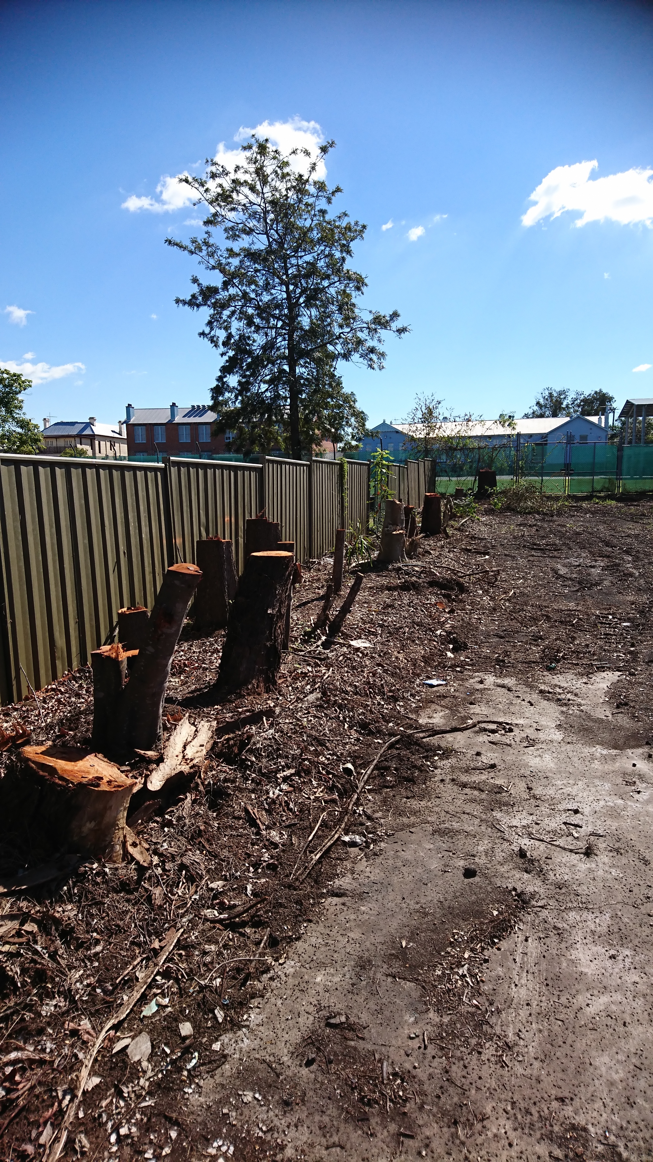  The Symbol of a Tree