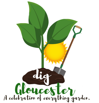  DIG GLOUCESTER