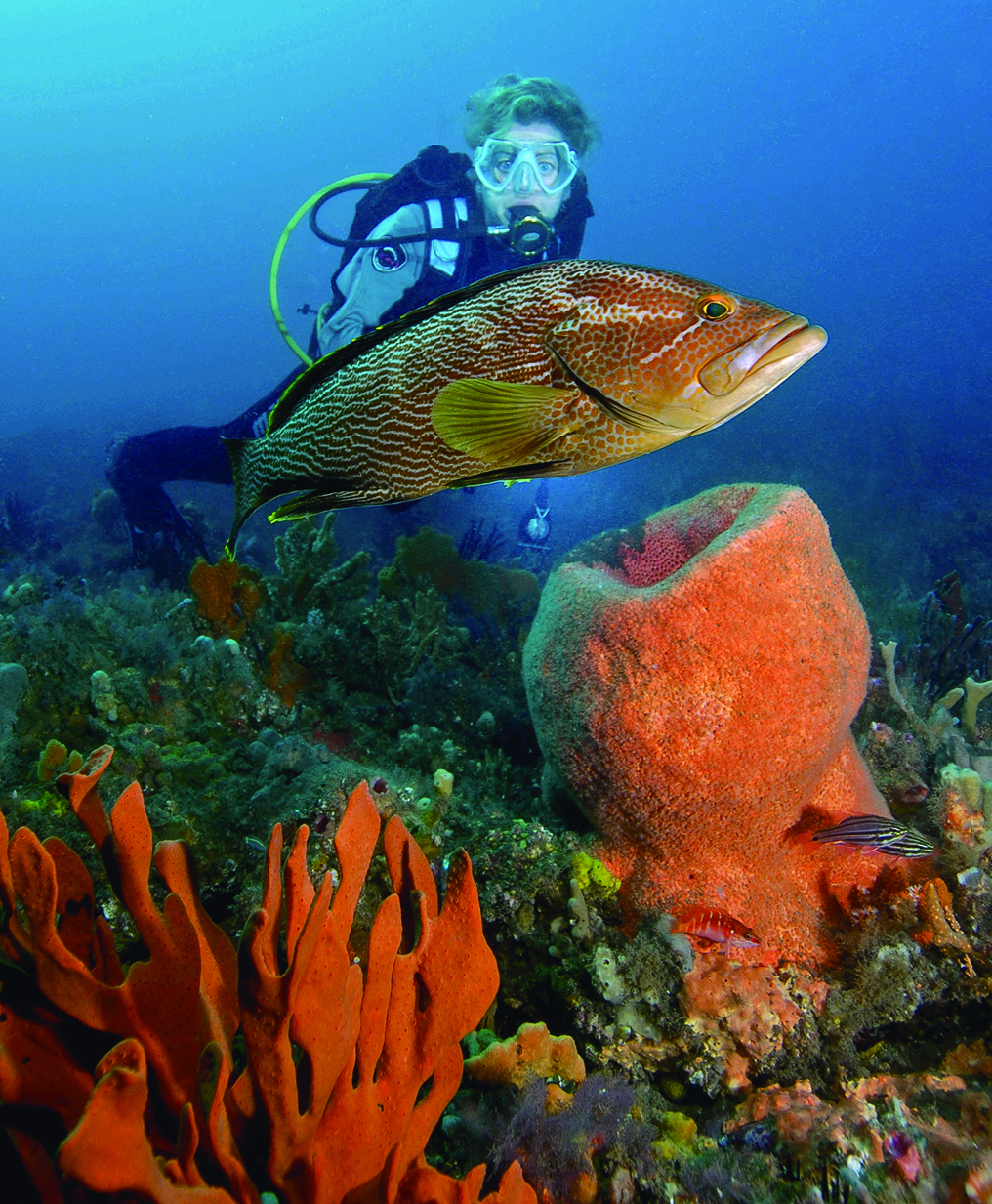  Marine Park on pollies’ radar