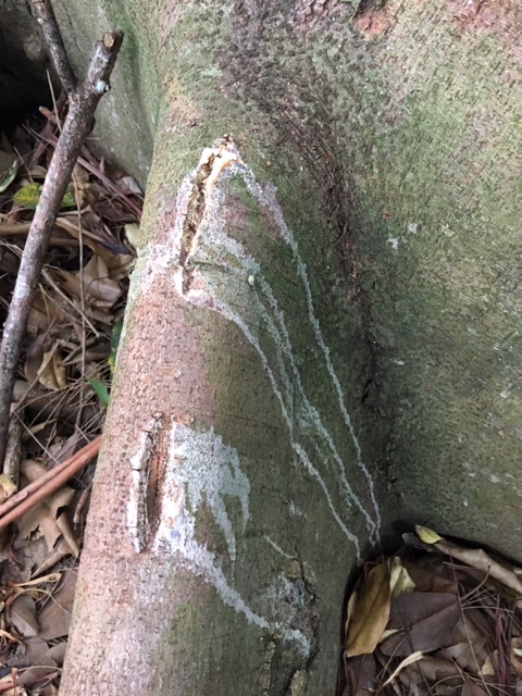  What low life has done this?