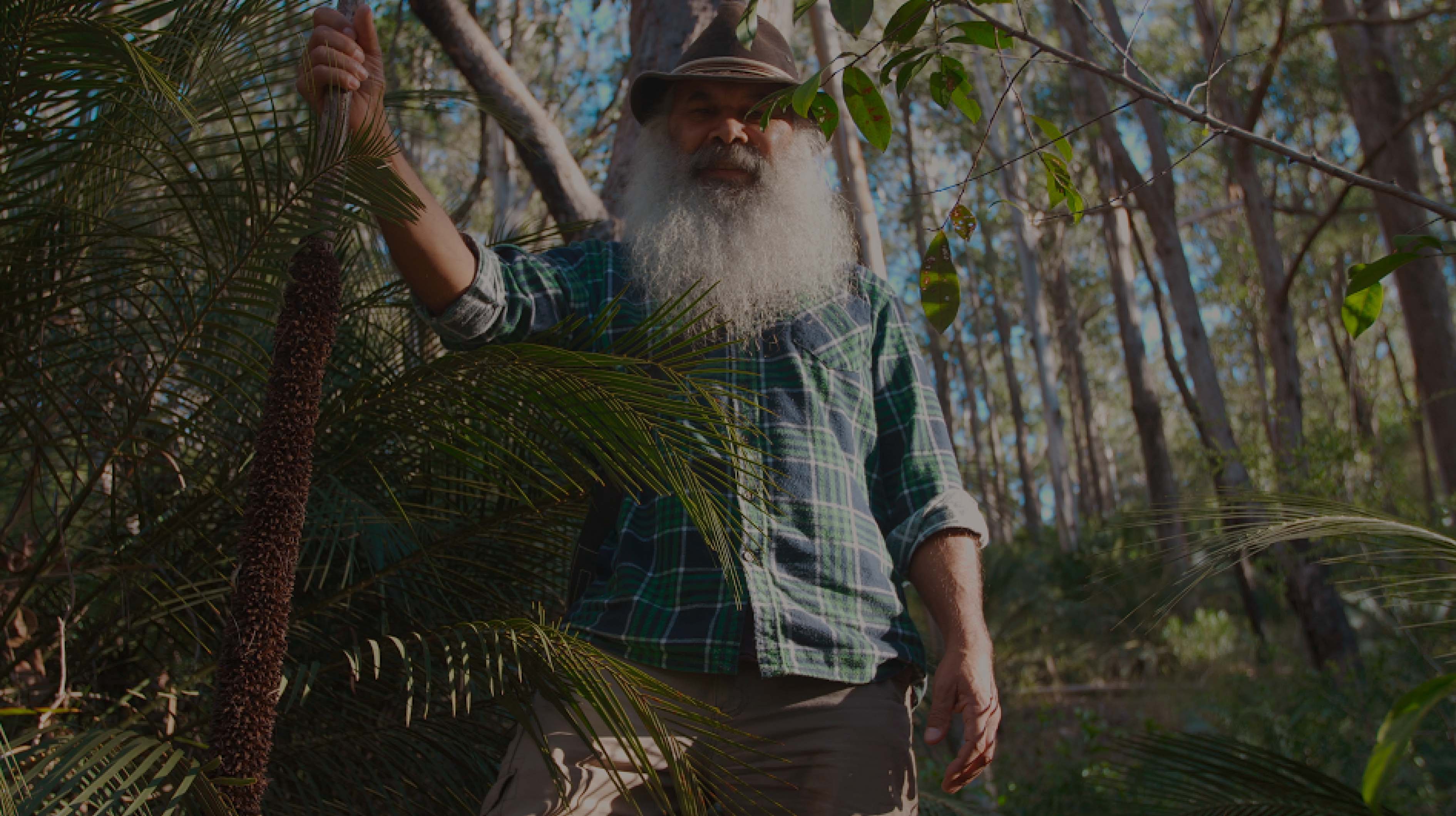  Pursuing a Movie Dream!