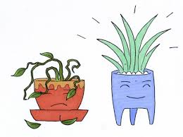  ARE YOU MAKING THESE COMMON GARDENING MISTAKES?