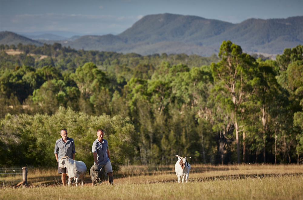  A special recipe from a special friend (with help from Helga.)