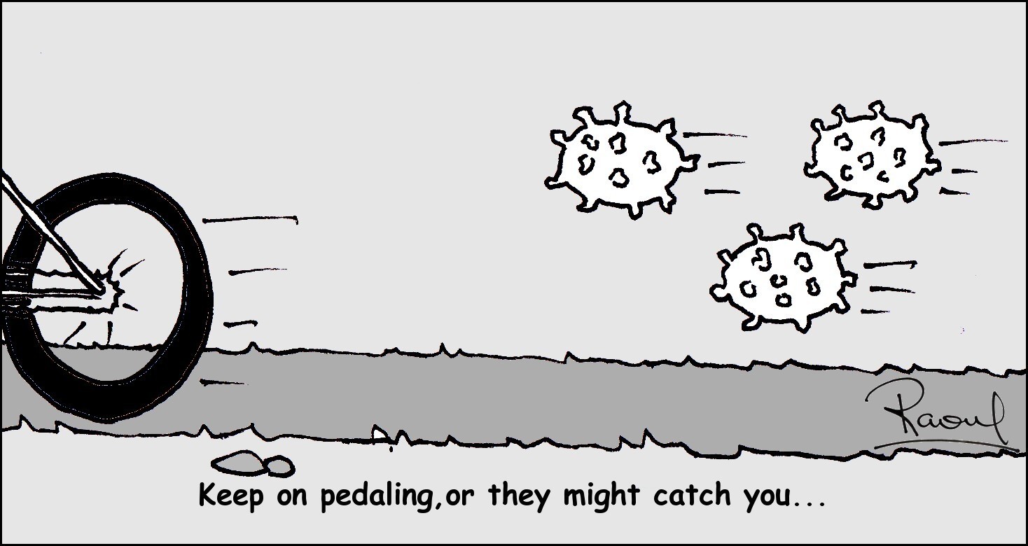  AS A BIKE PEDALLED PAST MY GARDEN GATE