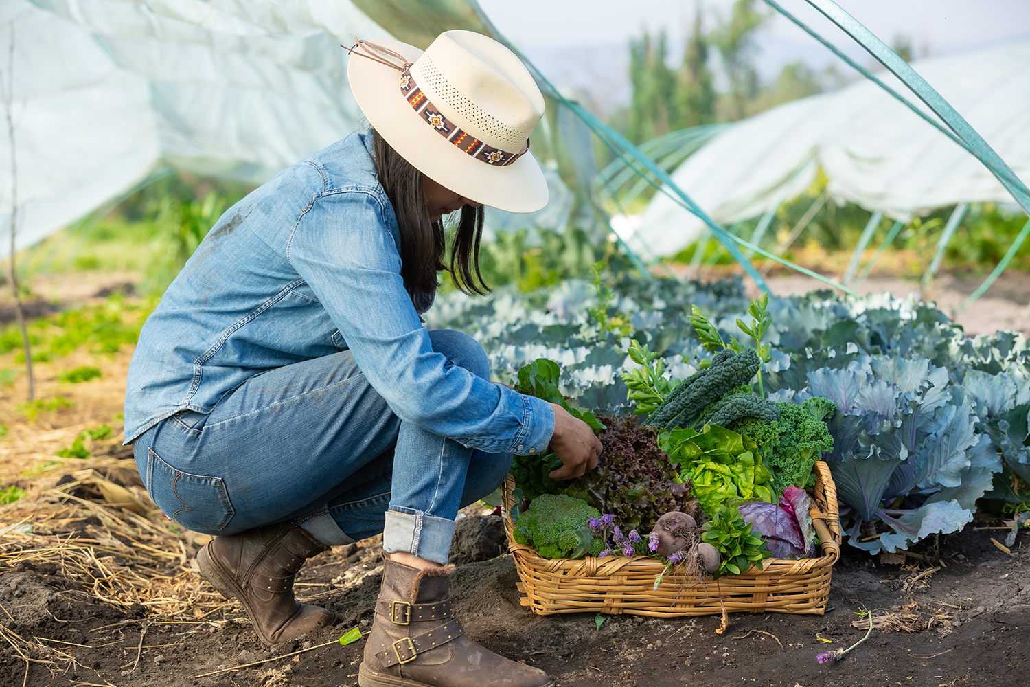  NO COUNTRY FOR YOUNG PEOPLE