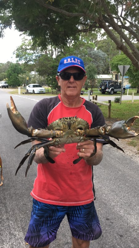  FEROCIOUS FIGHTERS BUT YUM IN THE TUM