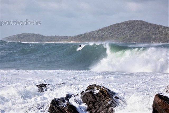  STINKPOT LEAVES IT TO THE SURFERS