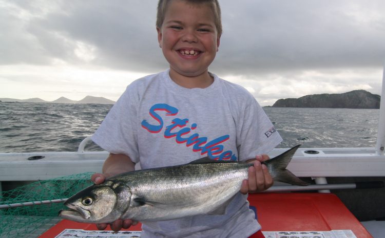  WHERE ARE ALL THE TAILOR?