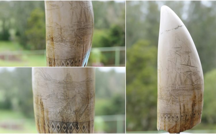  ANTIQUES AND COLLECTABLES