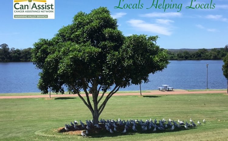  500 and still counting