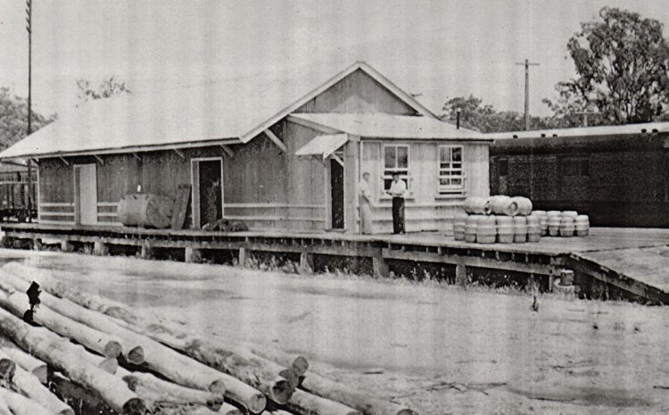  MY CHILDHOOD WONDERLAND!