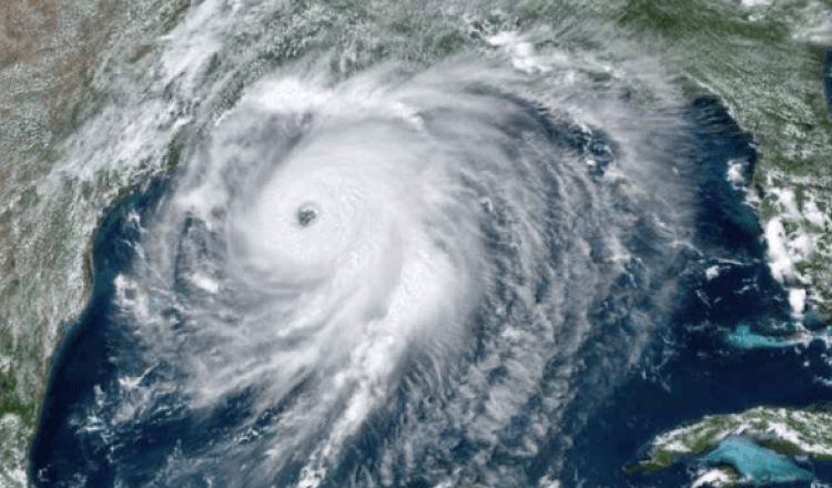  Nature Doesn’t Lie: Heat, Deforestation, Bleaching, Death