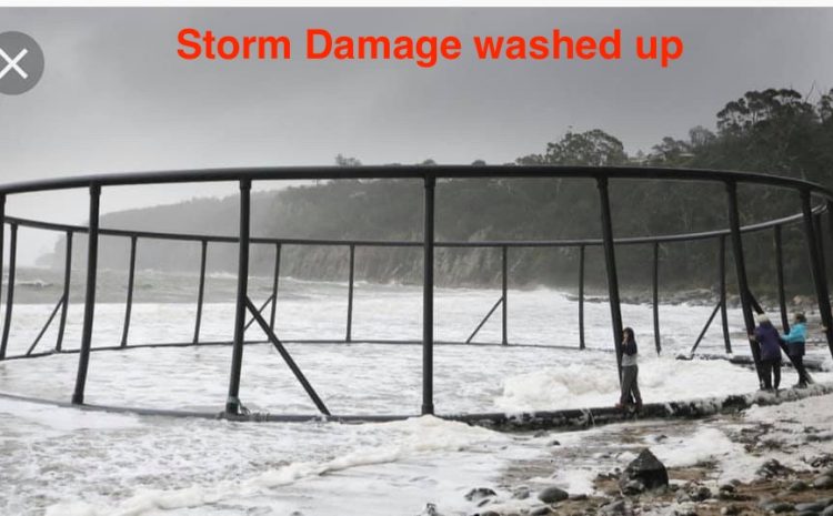  Toxic: The Rotting Underbelly of the Tasmanian Salmon Industry