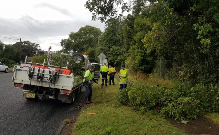 Wingham Brush Nature Reserve Vegetation Management