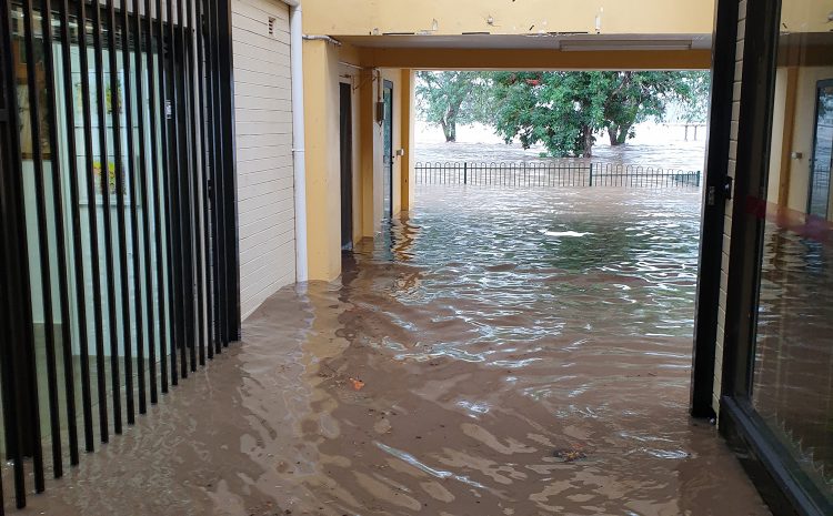  THE EDGE GALLERY RE-OPENS AFTER THE FLOODS