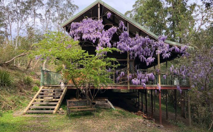  COUNCIL’S RURAL STRATEGY A “NASTY SHOCK”