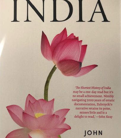  The Shortest History of India