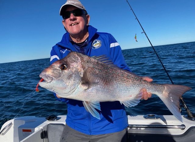  Sneaky Snapper Sought In Our Seas
