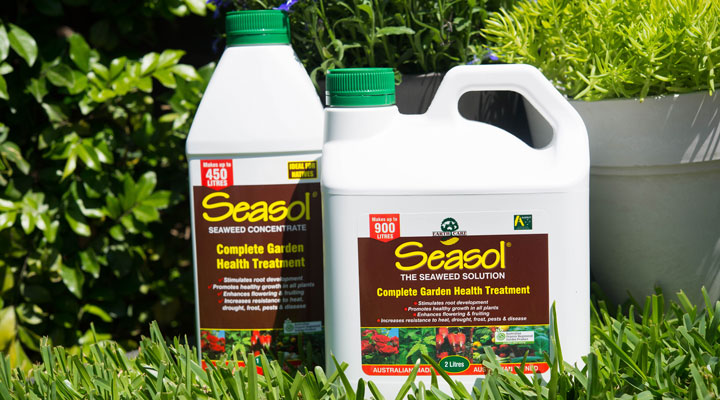  FERTILISER VS SEASOL: WHAT’S THE DIFFERENCE?