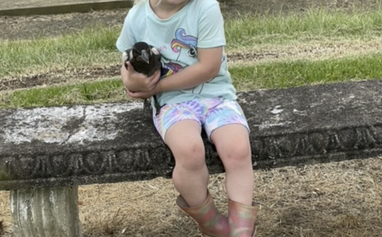  ELLIE’S NEW FRIEND