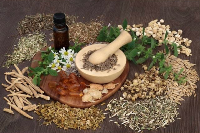  PLAN B. THE PLANTS THAT WILL SAVE US.