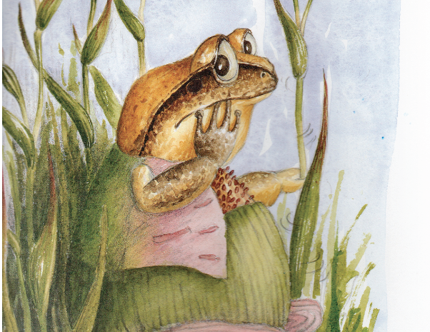  WHAT HAS HAPPENED TO MY COUNTRY?