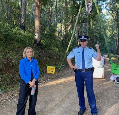  OUR FORESTS ARE WORTH MORE STANDING