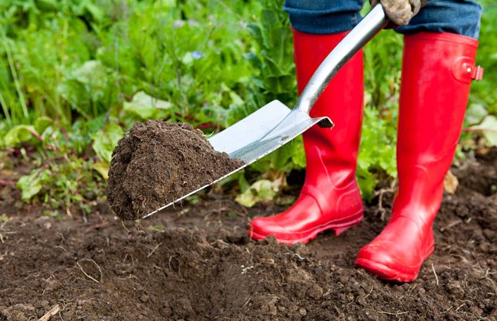  WHY YOU SHOULD USE POTTING MIX IN YOUR POTS AND CONTAINERS