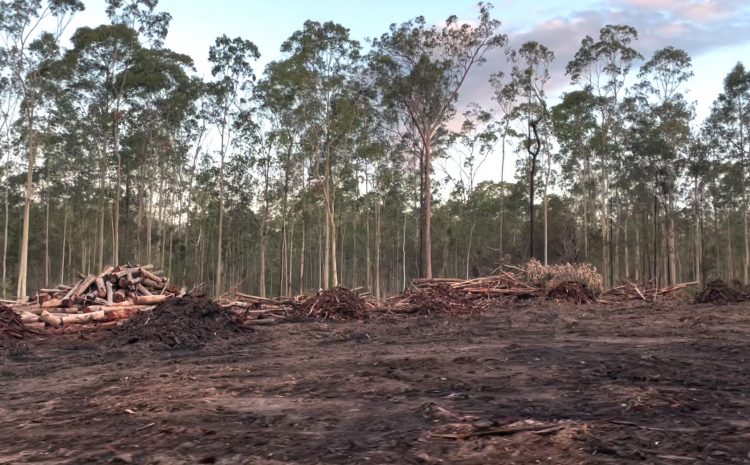  COUNCIL TAKES TENTATIVE STEP INTO THE FUTURE