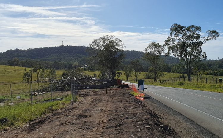  ONE VOICE FOR NATURE