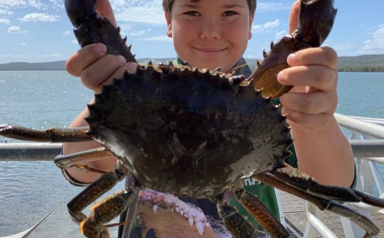  HERE COME THE MONSTERS!