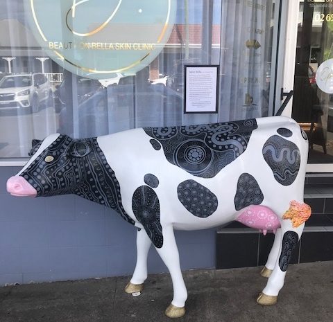  CASH FOR CRAZY COWS HELPS A GOOD CAUSE!