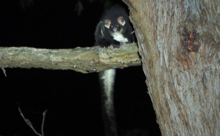  WHY DOES NSW GOVERNMENT GIVE WITH ONE HAND AND TAKE WITH THE OTHER?