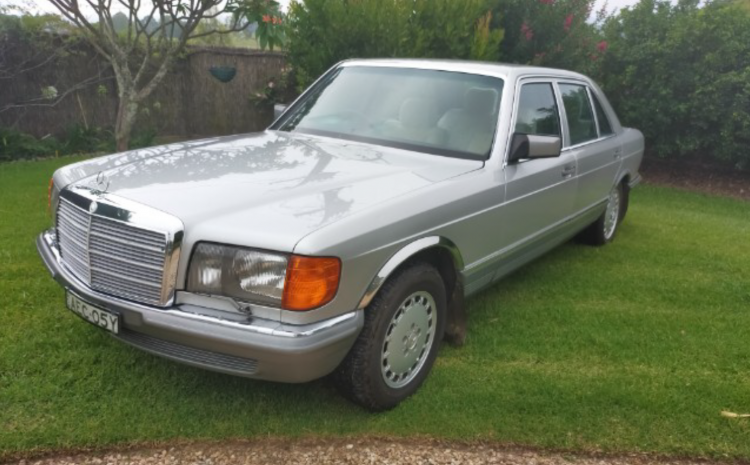  CLASSIC LADY LOOKING FOR A HOME