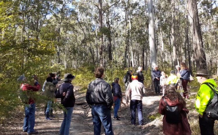  A QUARRY IN THE BUCOLIC AND BEAUTIFUL WALLAROO STATE FOREST?