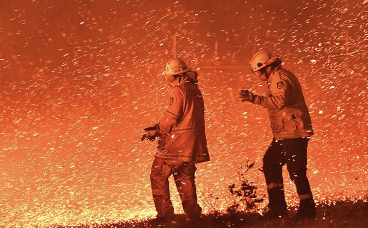  THE HEARTBREAKING COST OF A DRY SEASON LOOMS