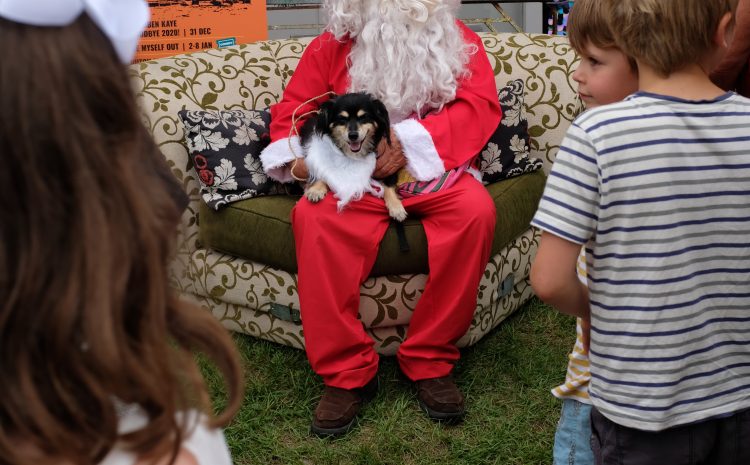  HOLIDAY SPIRIT Christmas may be over. . . but the spirit lingers.