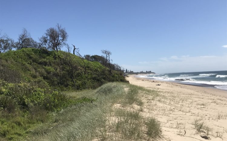  OLD BAR’S TURN TO FIGHT DEVELOPMENT ON FLOOD PRONE LAND