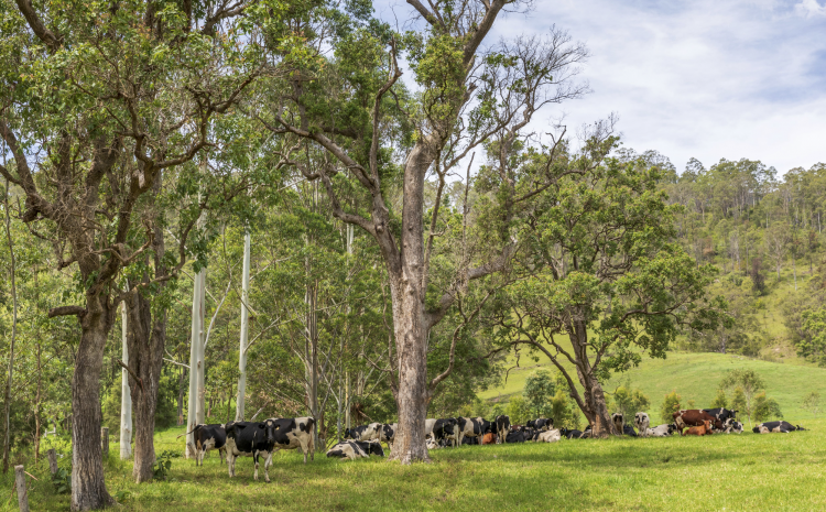  NATURE AND FARMING CAN CO-EXIST